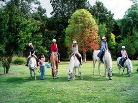 Limestone Coast Horseriding - Darwin Holiday 0