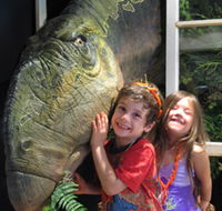 Australian Opal Centre - Darwin Holiday