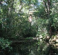 Wabunga Wayemba Charmillan Creek walking track - Darwin Holiday