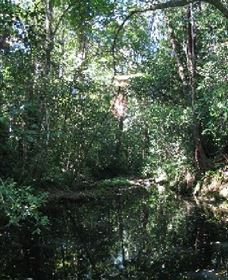 Wabunga Wayemba (Charmillan Creek Walking Track) - Darwin Holiday 0