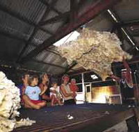 Shear Outback the Australian Shearers Hall of Fame - Darwin Holiday