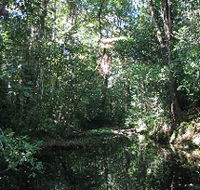 Misty Mountains Wilderness Walking Tracks - Darwin Holiday