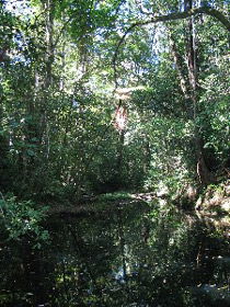 Misty Mountains Wilderness Walking Tracks - Darwin Holiday 0