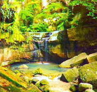 Carnarvon Gorge Carnarvon National Park - Darwin Holiday