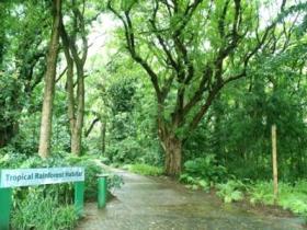 Townsville Palmetum - Darwin Holiday 1