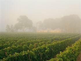 Yalumba Coonawarra Estate 