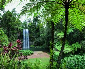 Millaa Millaa Falls - Darwin Holiday 2