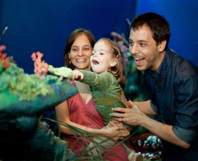 Museum Of Tropical Queensland - Darwin Holiday 2