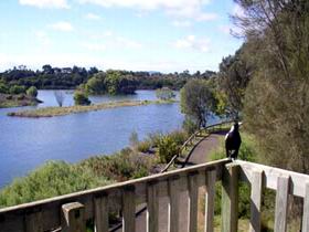 Lake McIntyre - Darwin Holiday 0