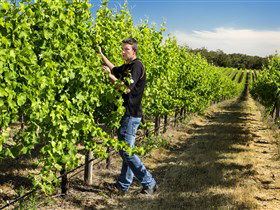 Patrick Of Coonawarra - Darwin Holiday 0