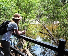 Mount Elliot, Bowling Green Bay National Park - Darwin Holiday 1