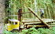 Nangwarry Forestry And Logging Museum - thumb 3