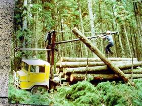 Nangwarry Forestry And Logging Museum - Darwin Holiday 3