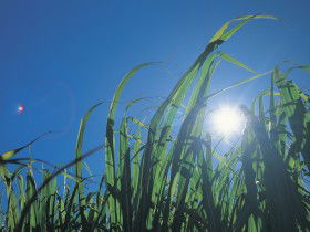 Comoon Loop QLD Darwin Holiday