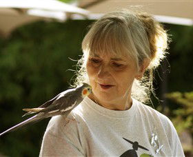 Boort VIC Darwin Holiday