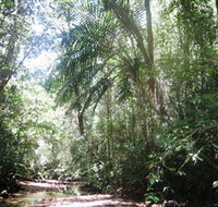 Mount Lewis National Park - Darwin Holiday
