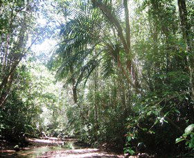 Mount Lewis National Park - Darwin Holiday 0