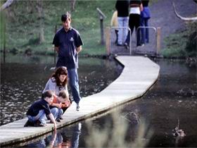 Valley Lake Conservation Park - Darwin Holiday 2