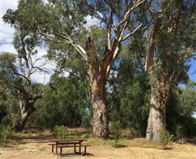 Bob Christensen Reserve - Darwin Holiday 2