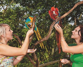 Birdworld Kuranda - Darwin Holiday 1