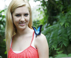 Australian Butterfly Sanctuary - Darwin Holiday 0