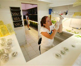 Australian Butterfly Sanctuary - Darwin Holiday 2