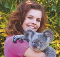 Kuranda Koala Gardens - Darwin Holiday