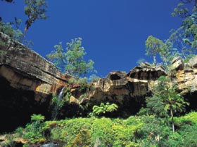 Blackdown Tableland National Park - Darwin Holiday 1