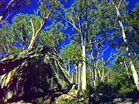 Blackdown Tableland National Park - Darwin Holiday 3