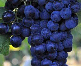 De Bortoli Wines Bilbul - Darwin Holiday 0