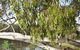 Beach To Beach Riverside Walk - thumb 6