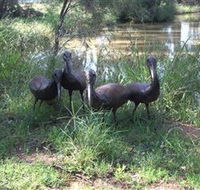 East Tolans Farm Tour - Darwin Holiday