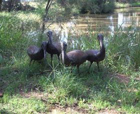 East Tolans Farm Tour - Darwin Holiday 0