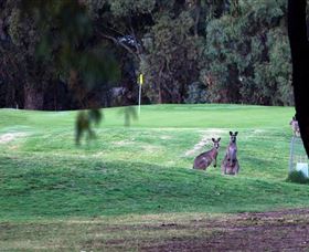 Deniliquin Golf Club - Darwin Holiday 2