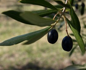Red Rock Olives - Darwin Holiday 0