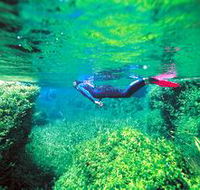 Piccaninnie Ponds Conservation Park - Darwin Holiday