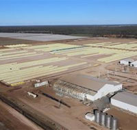 Southern Cotton Gin - Darwin Holiday