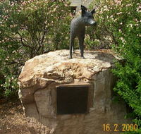Dingo Statue - Darwin Holiday