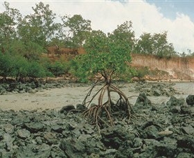 Garig Gunak Barlu National Park - Darwin Holiday 3
