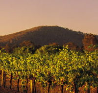 Taltarni Vineyards - Darwin Holiday