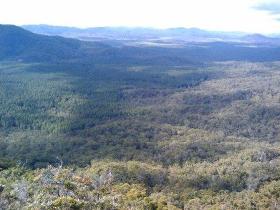 Mia Mia State Forest - Darwin Holiday 1