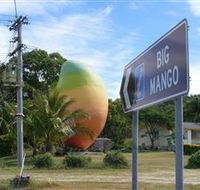 Big Mango - Darwin Holiday