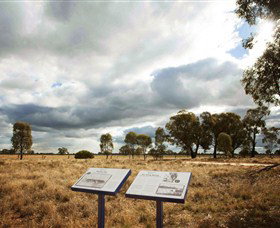 Backroads Trail - Darwin Holiday 2