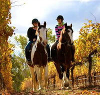 Billabong Ranch - Darwin Holiday