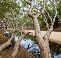 Oyala Thumotang National Park CYPAL - Darwin Holiday