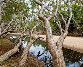 Oyala Thumotang National Park (CYPAL) - Darwin Holiday 0