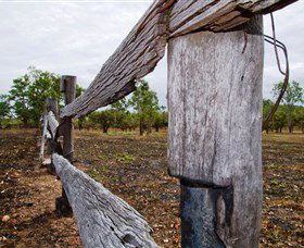 Oyala Thumotang National Park (CYPAL) - Darwin Holiday 1