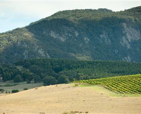 Langi Ghiran State Park - Darwin Holiday 0