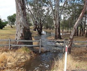 Mackereth's Hedon Farm - Darwin Holiday 2