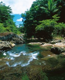Cedar Creek Falls - Darwin Holiday 1